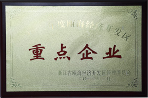 鼎業(yè)重點(diǎn)企業(yè)證書